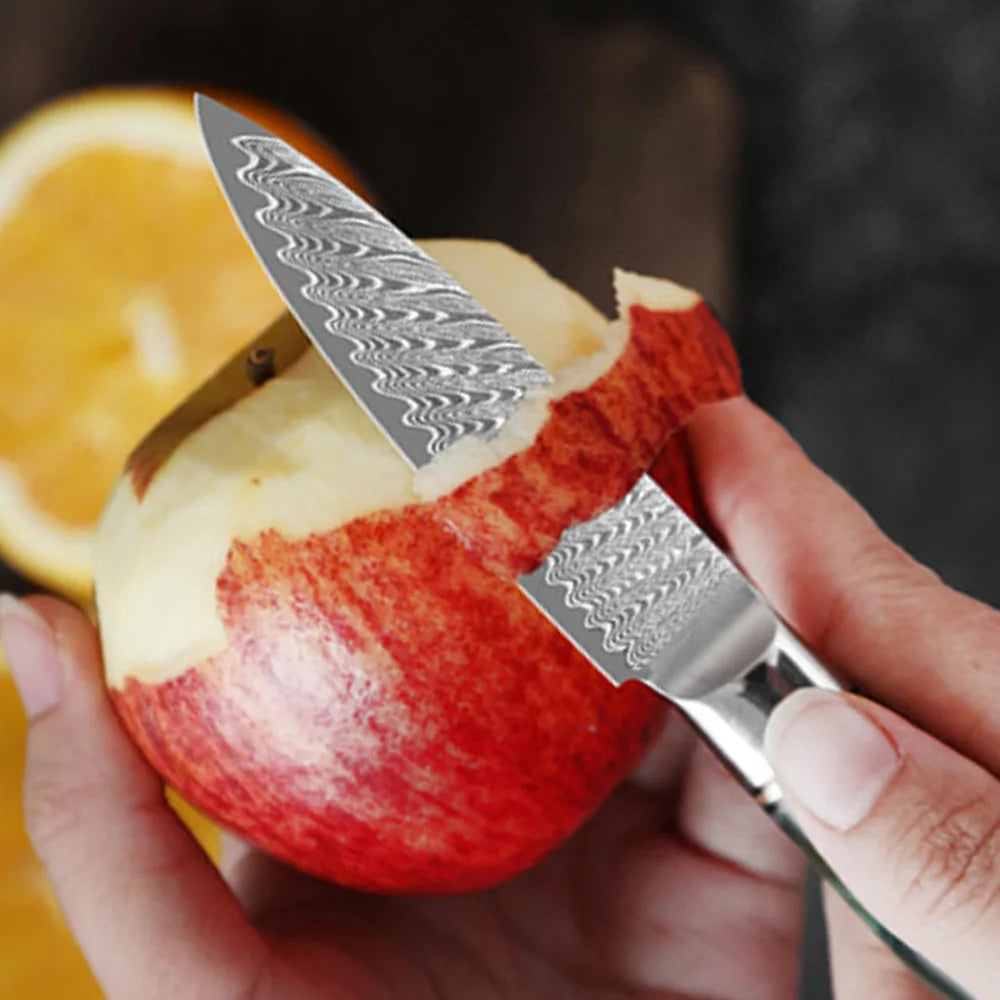 kitchen knife set Damascus Steel Set for Meat Cutting Sushi Peeling