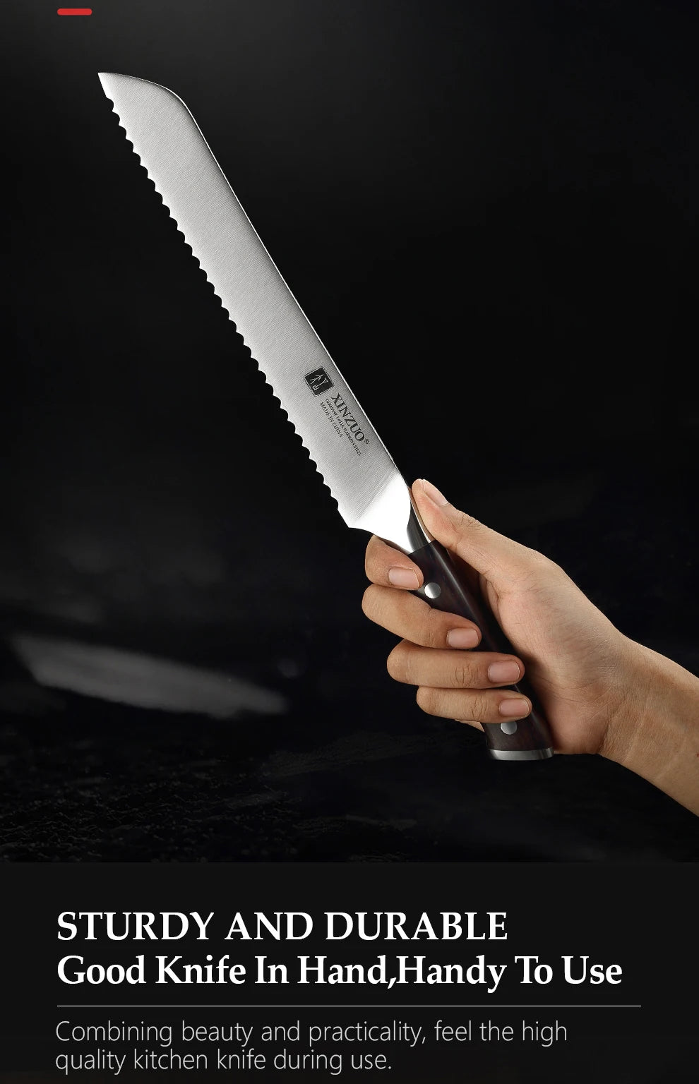 XINZUO Premium Modern Stainless Steel Chef