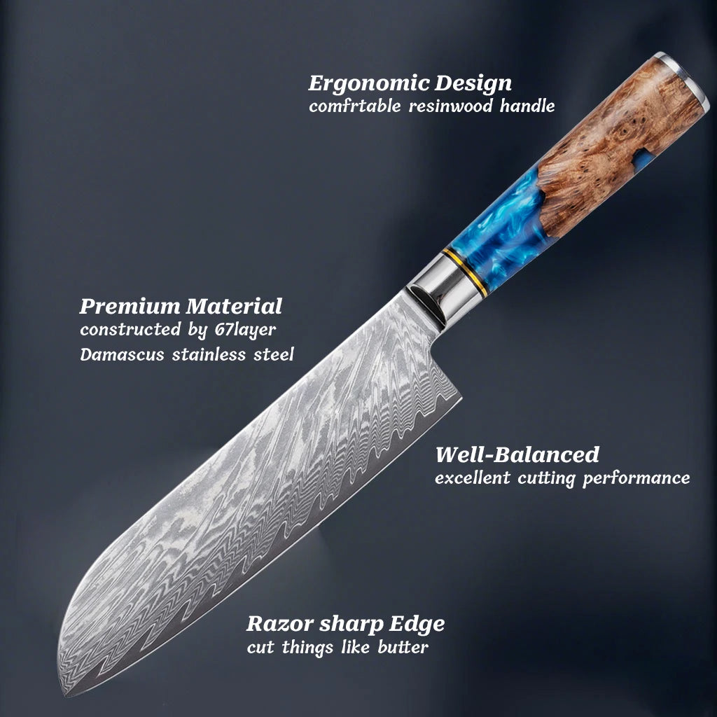 kitchen knife set Damascus Steel Set for Meat Cutting Sushi Peeling